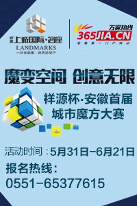 马钢股份收购法国公司 境外收购成皖企重要投资方式